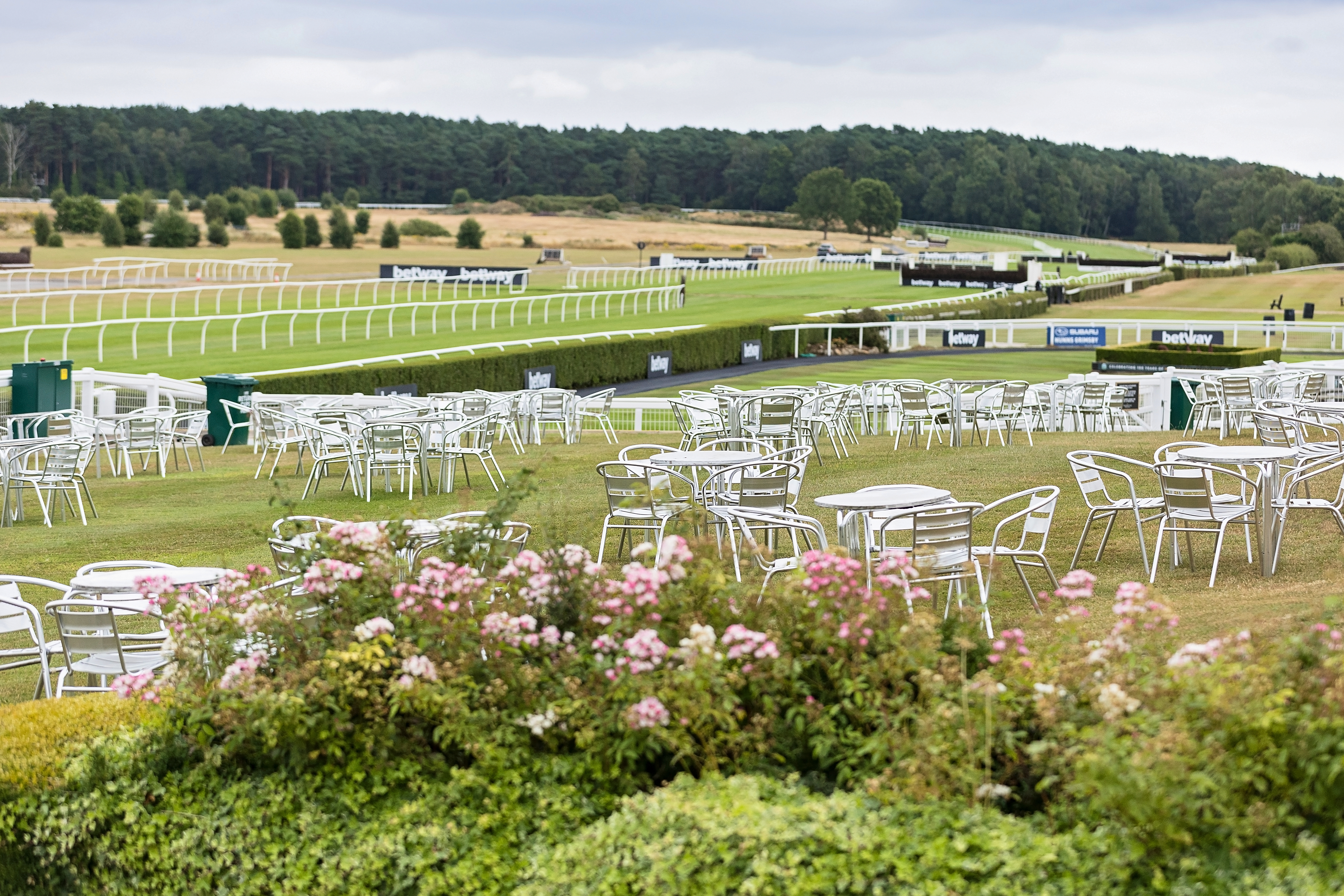 Home Page Racecourse