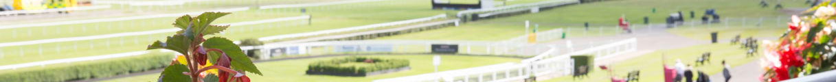 Market Rasen Replace Top Image With Blue Carpet