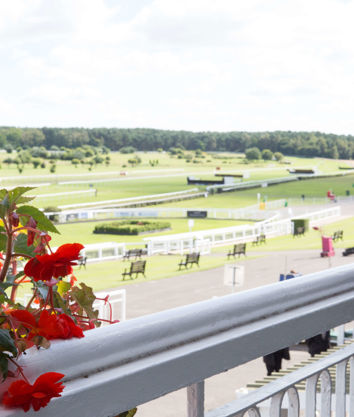 Market Rasen Replace Top Image With Blue Carpet