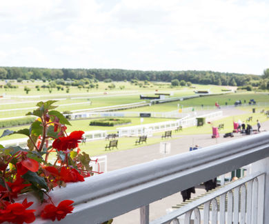 Market Rasen Replace Top Image With Blue Carpet