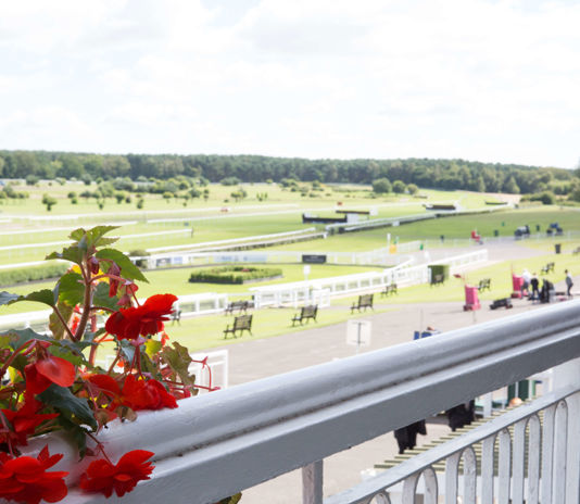 Market Rasen Replace Top Image With Blue Carpet